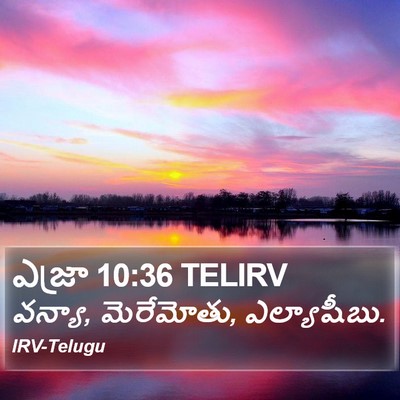 ఎజ్రా 10:36 TELIRV Bible Verse Image