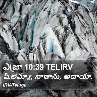 ఎజ్రా 10:39 TELIRV Bible Verse Image