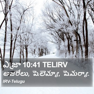 ఎజ్రా 10:41 TELIRV Bible Verse Image