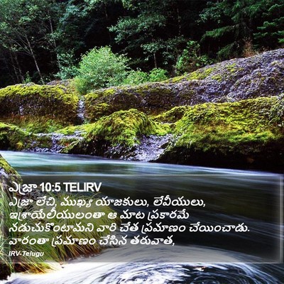 ఎజ్రా 10:5 TELIRV Bible Verse Image