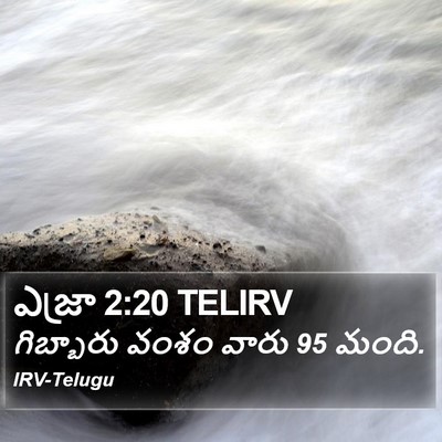 ఎజ్రా 2:20 TELIRV Bible Verse Image