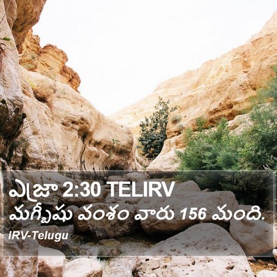 ఎజ్రా 2:30 TELIRV Bible Verse Image