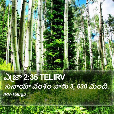 ఎజ్రా 2:35 TELIRV Bible Verse Image