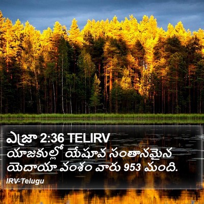 ఎజ్రా 2:36 TELIRV Bible Verse Image