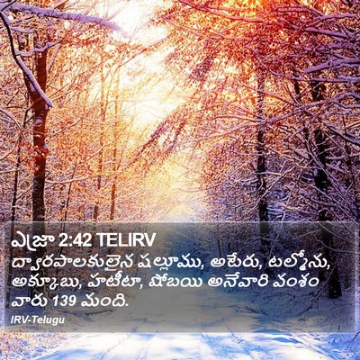 ఎజ్రా 2:42 TELIRV Bible Verse Image