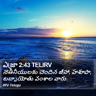ఎజ్రా 2:43 TELIRV Bible Verse Image