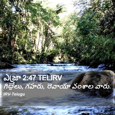 ఎజ్రా 2:47 TELIRV Bible Verse Image