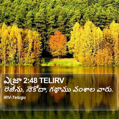 ఎజ్రా 2:48 TELIRV Bible Verse Image