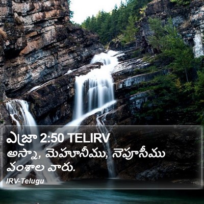 ఎజ్రా 2:50 TELIRV Bible Verse Image