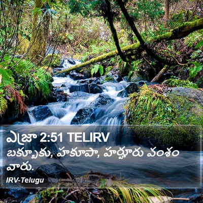 ఎజ్రా 2:51 TELIRV Bible Verse Image