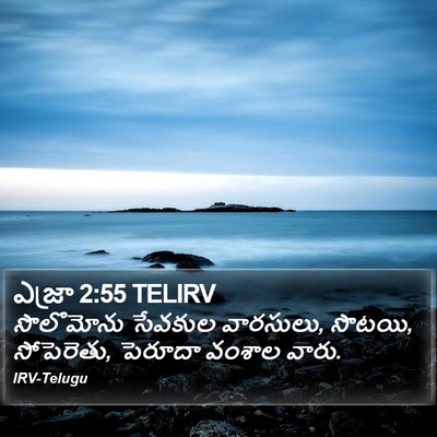 ఎజ్రా 2:55 TELIRV Bible Verse Image