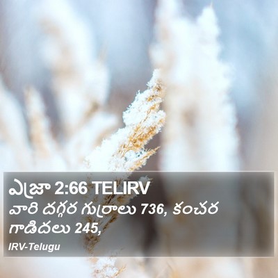 ఎజ్రా 2:66 TELIRV Bible Verse Image