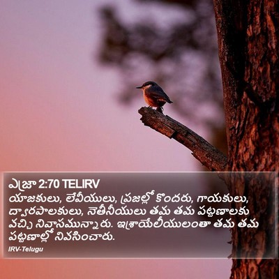 ఎజ్రా 2:70 TELIRV Bible Verse Image