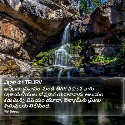 ఎజ్రా 4:1 TELIRV Bible Verse Image
