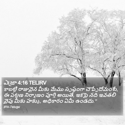 ఎజ్రా 4:16 TELIRV Bible Verse Image
