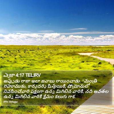 ఎజ్రా 4:17 TELIRV Bible Verse Image