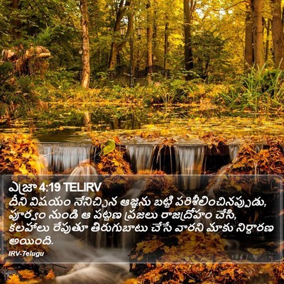 ఎజ్రా 4:19 TELIRV Bible Verse Image
