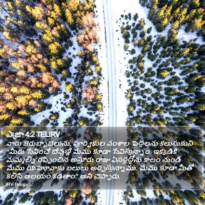 ఎజ్రా 4:2 TELIRV Bible Verse Image