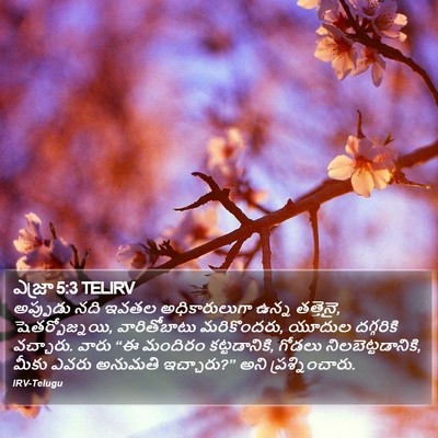 ఎజ్రా 5:3 TELIRV Bible Verse Image