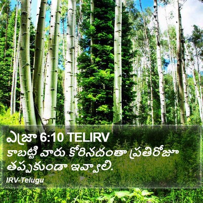 ఎజ్రా 6:10 TELIRV Bible Verse Image
