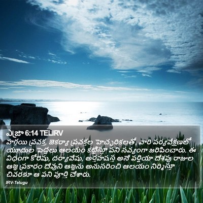 ఎజ్రా 6:14 TELIRV Bible Verse Image
