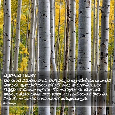 ఎజ్రా 6:21 TELIRV Bible Verse Image