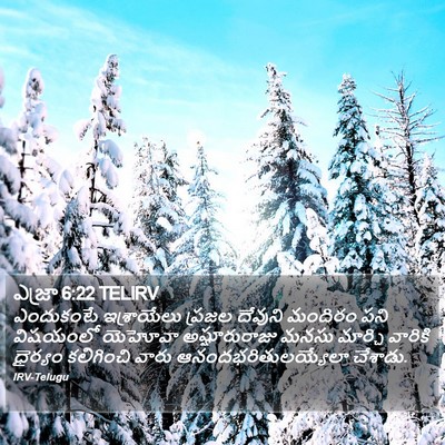 ఎజ్రా 6:22 TELIRV Bible Verse Image