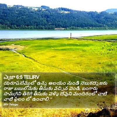 ఎజ్రా 6:5 TELIRV Bible Verse Image