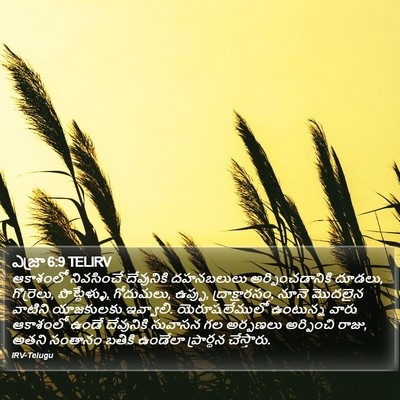 ఎజ్రా 6:9 TELIRV Bible Verse Image
