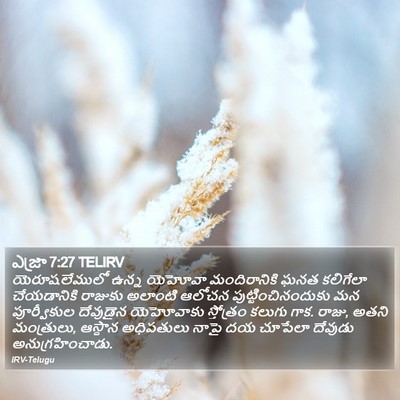 ఎజ్రా 7:27 TELIRV Bible Verse Image