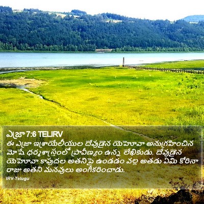 ఎజ్రా 7:6 TELIRV Bible Verse Image