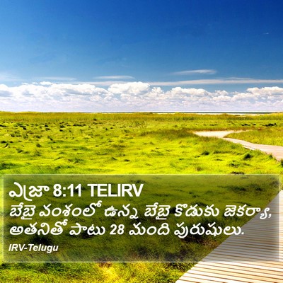 ఎజ్రా 8:11 TELIRV Bible Verse Image
