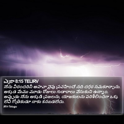 ఎజ్రా 8:15 TELIRV Bible Verse Image