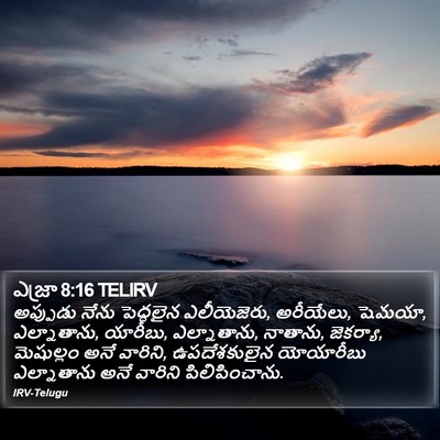 ఎజ్రా 8:16 TELIRV Bible Verse Image