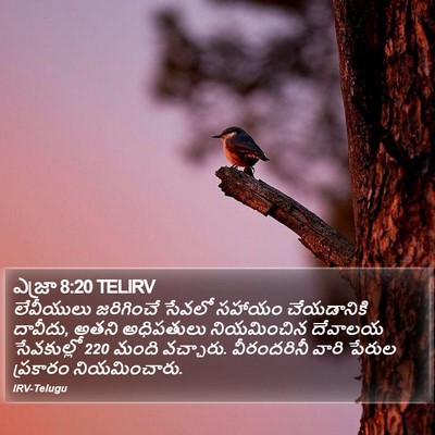 ఎజ్రా 8:20 TELIRV Bible Verse Image