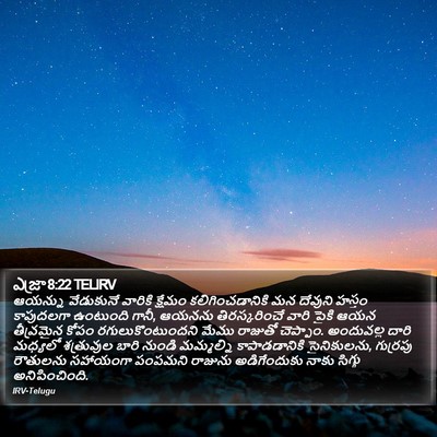 ఎజ్రా 8:22 TELIRV Bible Verse Image