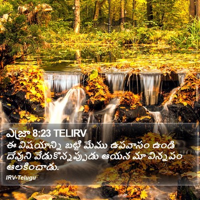 ఎజ్రా 8:23 TELIRV Bible Verse Image