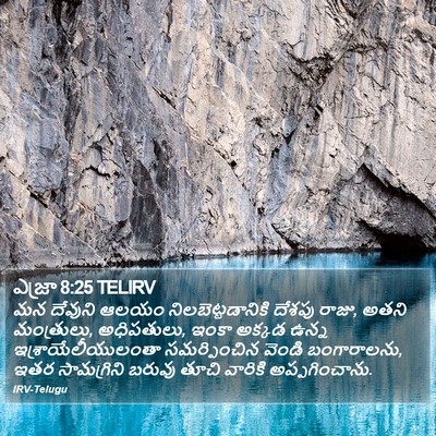 ఎజ్రా 8:25 TELIRV Bible Verse Image