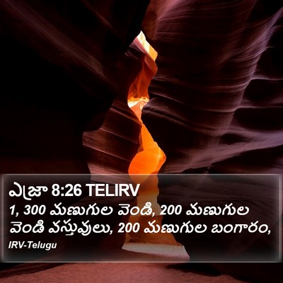 ఎజ్రా 8:26 TELIRV Bible Verse Image