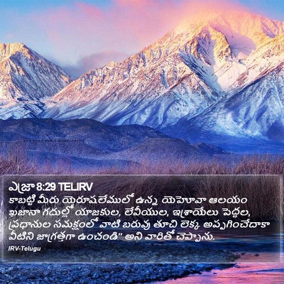 ఎజ్రా 8:29 TELIRV Bible Verse Image