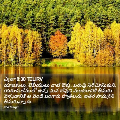 ఎజ్రా 8:30 TELIRV Bible Verse Image