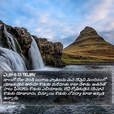 ఎజ్రా 8:33 TELIRV Bible Verse Image