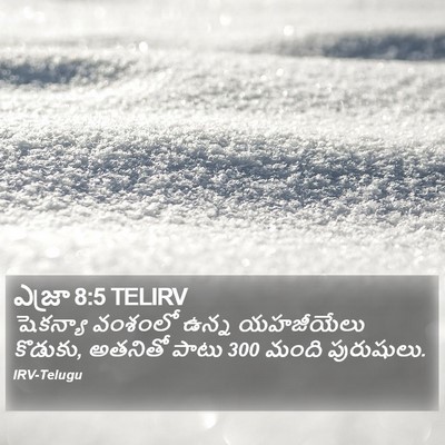 ఎజ్రా 8:5 TELIRV Bible Verse Image