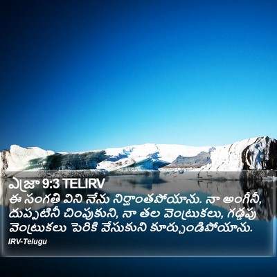 ఎజ్రా 9:3 TELIRV Bible Verse Image