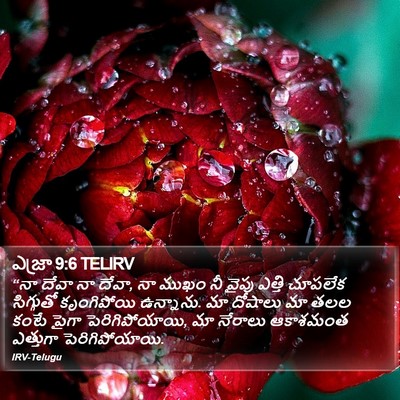 ఎజ్రా 9:6 TELIRV Bible Verse Image