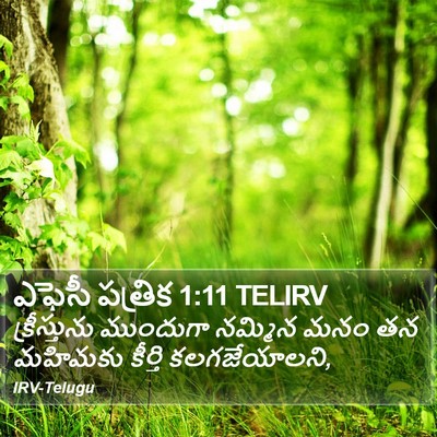 ఎఫెసీ పత్రిక 1:11 TELIRV Bible Verse Image