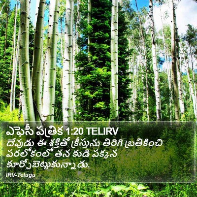 ఎఫెసీ పత్రిక 1:20 TELIRV Bible Verse Image