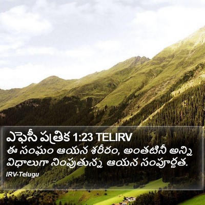 ఎఫెసీ పత్రిక 1:23 TELIRV Bible Verse Image