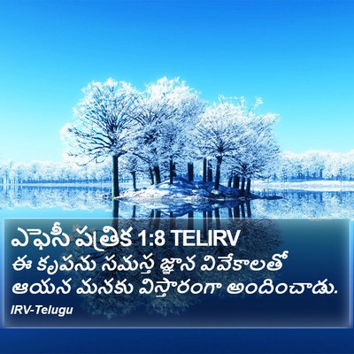ఎఫెసీ పత్రిక 1:8 TELIRV Bible Verse Image