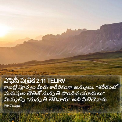 ఎఫెసీ పత్రిక 2:11 TELIRV Bible Verse Image